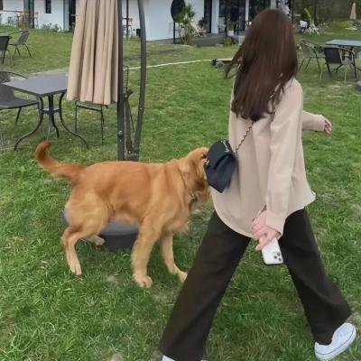血腥玛罗琳